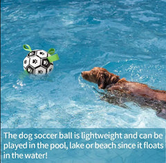 Dog Toys Interactive Pet Football - TorontoHobbyStore