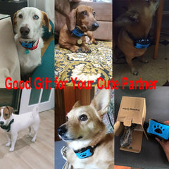 Ultrasonic Anti-Bark Dog Training Collar - TorontoHobbyStore