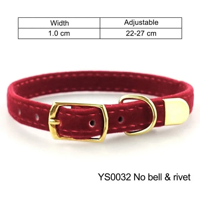 Collar For Small Cats & Dogs - TorontoHobbyStore