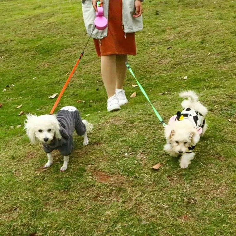 Dog Collars - 2 In 1 Dog Leash - TorontoHobbyStore