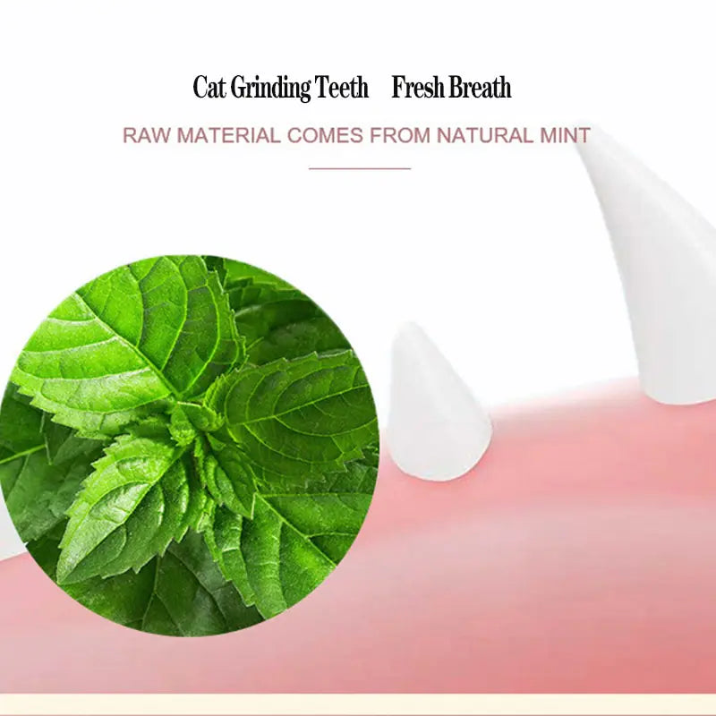 Catnip Pure Natural Cats Snack Ball - TorontoHobbyStore
