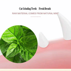 Catnip Pure Natural Cats Snack Ball - TorontoHobbyStore