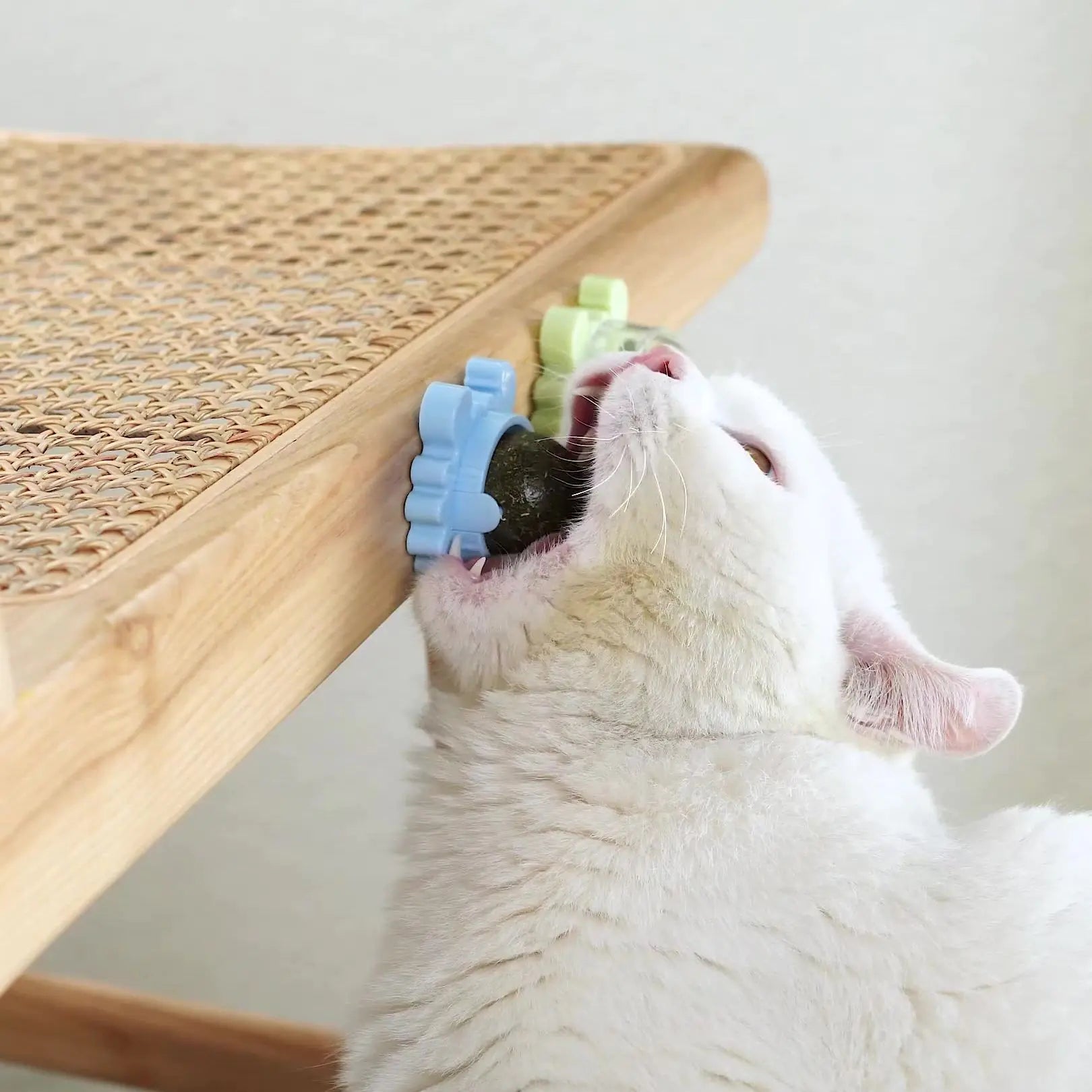 Catnip Pure Natural Cats Snack Ball - TorontoHobbyStore