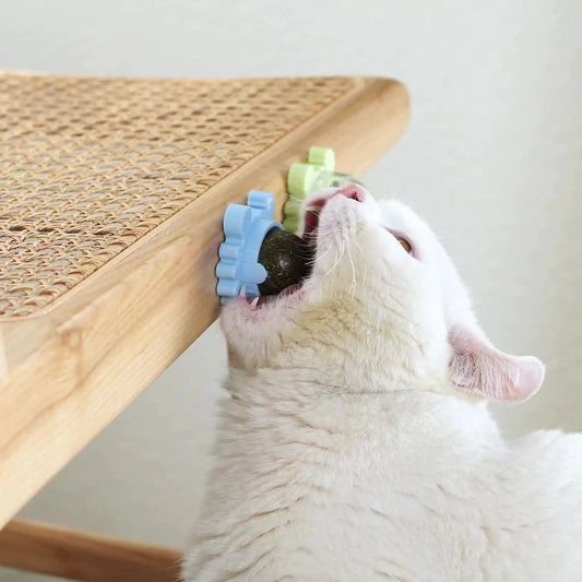Catnip Pure Natural Cats Snack Ball - TorontoHobbyStore