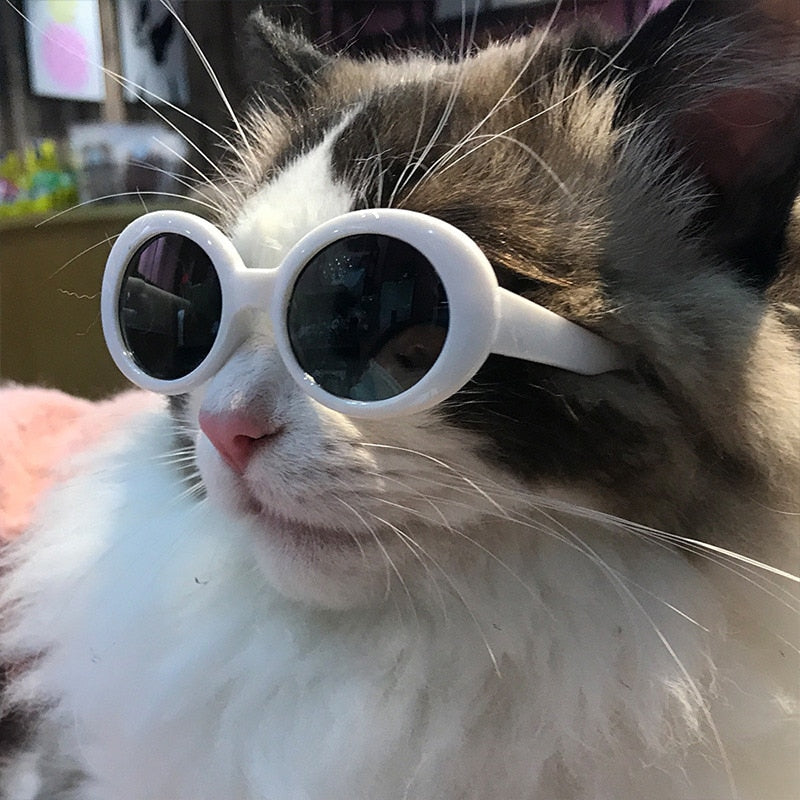 Dog Cat Sunglasses Fashion Cool Pet Products - TorontoHobbyStore