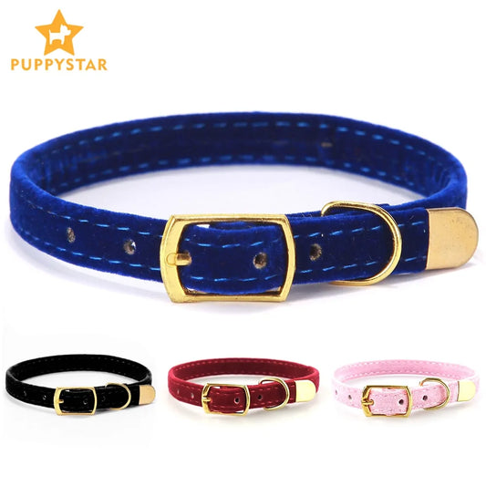 Collar For Small Cats & Dogs - TorontoHobbyStore