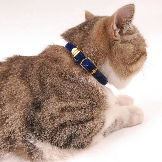 Collar For Small Cats & Dogs - TorontoHobbyStore