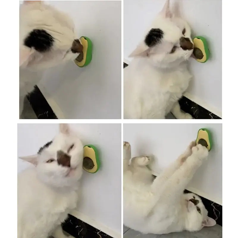 Catnip Pure Natural Cats Snack Ball - TorontoHobbyStore