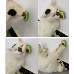 Catnip Pure Natural Cats Snack Ball - TorontoHobbyStore