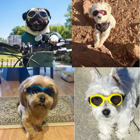 Dog Sunglasses - TorontoHobbyStore