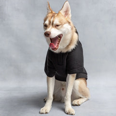 Hooded Dog Fleece