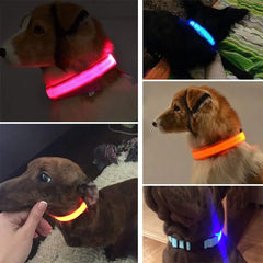 Safety And Visibility For Night Walks