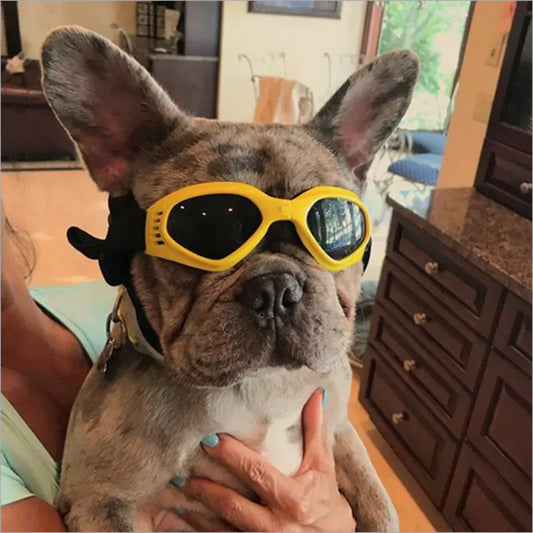 Dog Sunglasses - TorontoHobbyStore