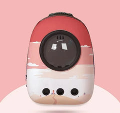 Transparent Portable Pet Outing Space Capsule Backpack