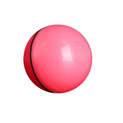 LED Pet Ball