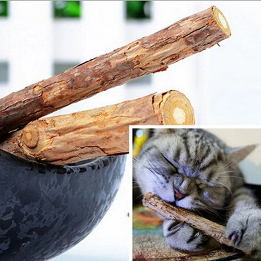 Cat Teeth Cleaning Natural Pure Catnip