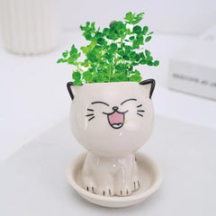 Mini Cat Shaped Cartoon Ceramic Flowerpot