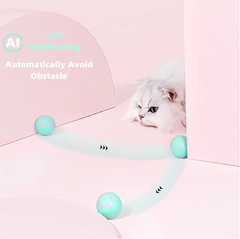 Smart Cat Ball Toys - TorontoHobbyStore