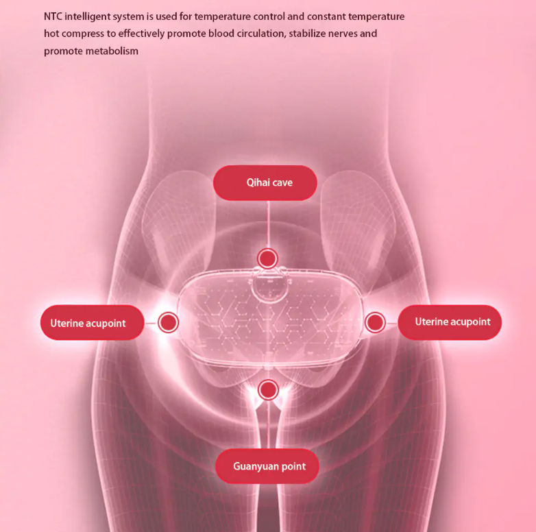 Abdominal Massage Belt - TorontoHobbyStore