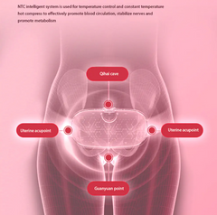 Abdominal Massage Belt - TorontoHobbyStore