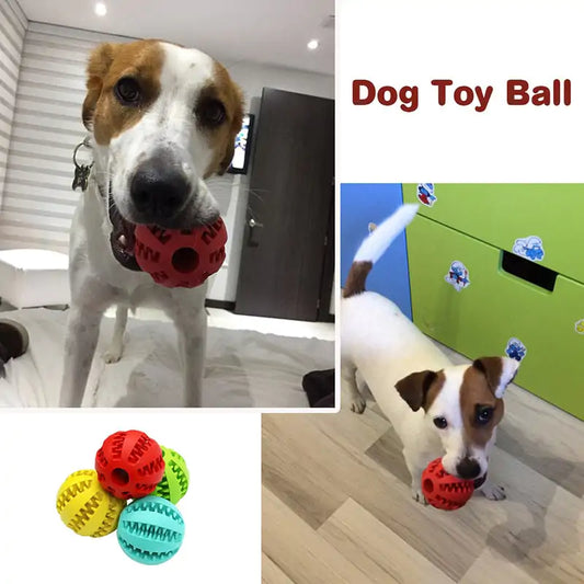 Treat Ball for Cats and Dogs - TorontoHobbyStore