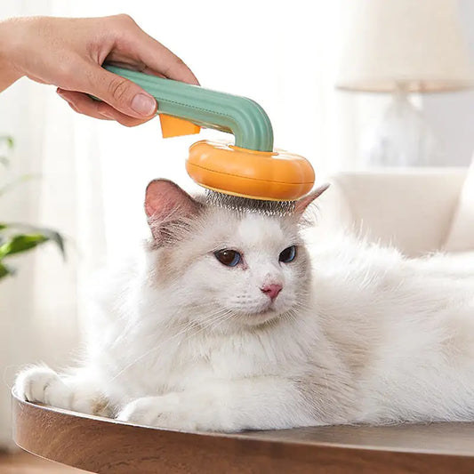 Cats Pumpkin Grooming Brush - TorontoHobbyStore