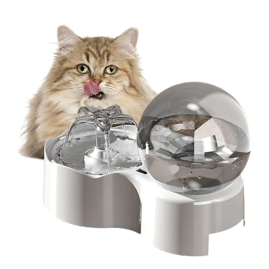 Cats and Dogs Bowl - TorontoHobbyStore