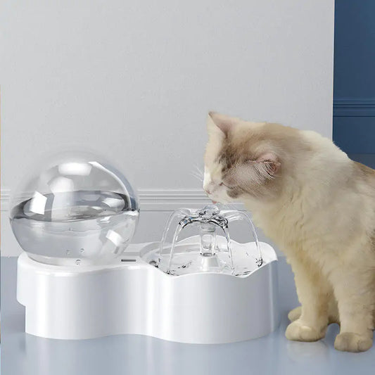 Cats and Dogs Bowl - TorontoHobbyStore